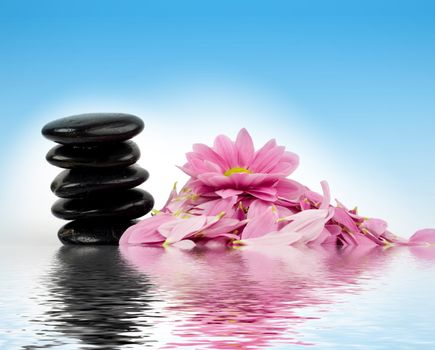 Stones for spa-massage and a pink flowers in water