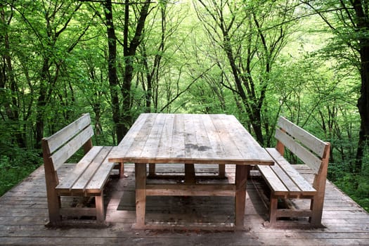 Wooden table and two benches on a background of green wood