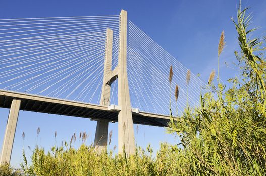 Vasco da Gama bridge is the largest in Europe over the Tagus river