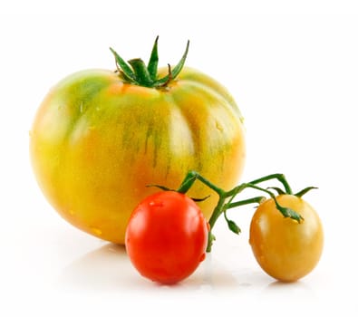 Ripe Wet Yellow and Red Tomatoes Isolated on White Background  