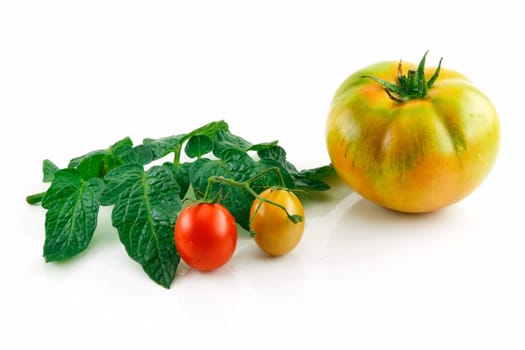 Ripe Wet Red Tomatoes with Leaves Isolated on White Background