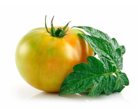 Ripe Wet Yellow Tomatoes with Leaves Isolated on White Background  