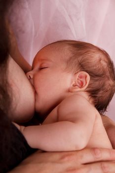 View of a newborn baby breast feeding.