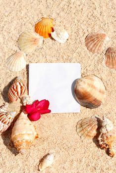 blank paper on white sand beach with starfish and shells like summer vacation background