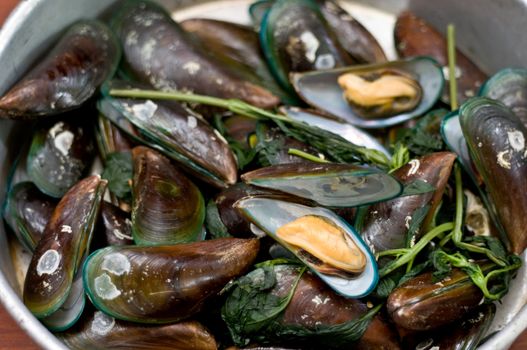 Boiled Asian green mussel on wooden table