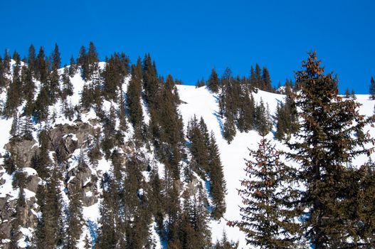 snowy mountain with trees on sunny day at Montafon, Austria
