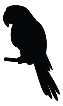 Clever speaking parrot sits on a wooden pole, black silhouette on white background