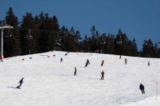 Skier and snowboarder on skiing slope on sunny day at Montafon, Austria