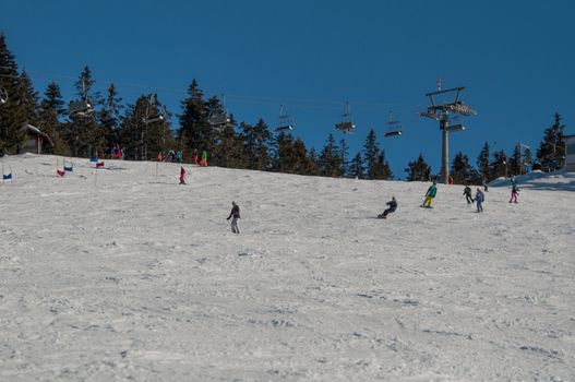 Skier and snowboarder on skiing slope on sunny day at Montafon, Austria