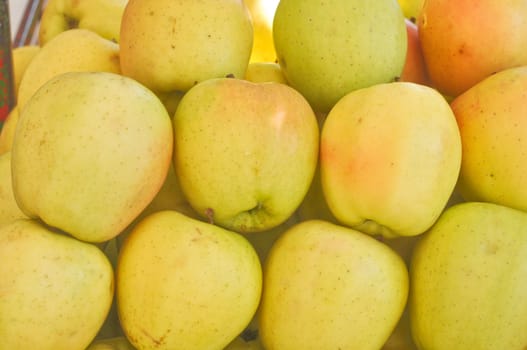 Apple fruit (Malus Domestica), green, yellow or red