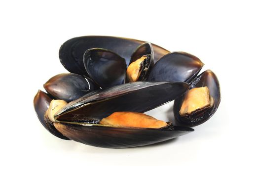 fresh cooked mussels on a of white background