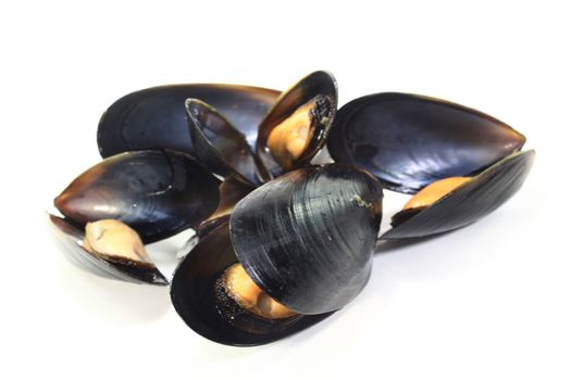 fresh cooked mussels on a of white background