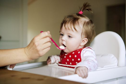 Young Baby Girl eating in the kitchen