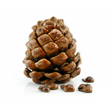 Cone and Nuts of Siberian Cedar Isolated on White Background