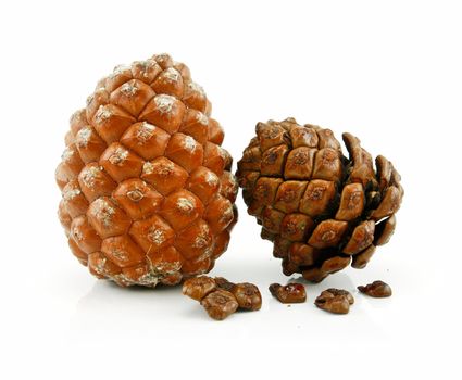 Cone and Nuts of Siberian Cedar Isolated on White Background