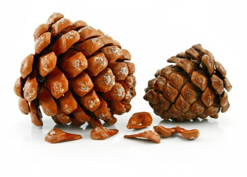 Nuts and Cone of Siberian Pine Isolated on White Background