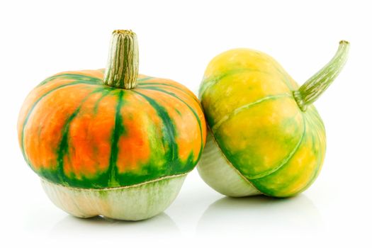 Ripe Gourds Vegetable Hybrid Isolated on White Background  