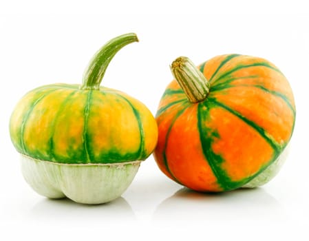 Ripe Gourds Vegetable Hybrid Isolated on White Background