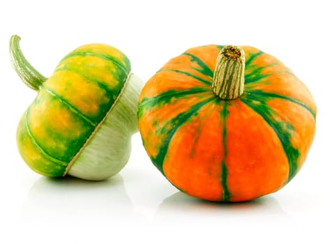 Ripe Gourds Vegetable Hybrid Isolated on White Background  