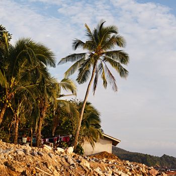 tropical beach, Andaman Sea Shore in Thailand