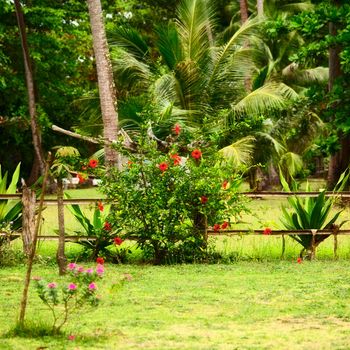 traditional thai nature, green grass and flowers