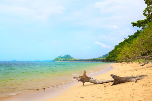 sunny beach, big snag and island on horizon