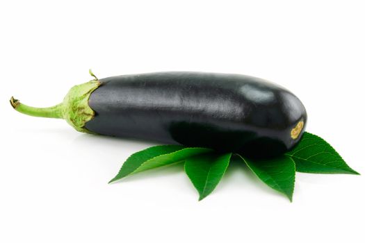 Aubergine Isolated on a White Background