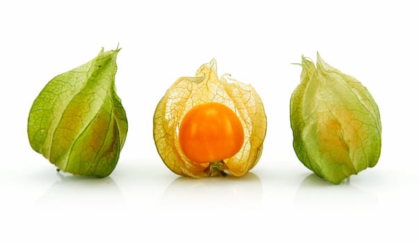 Cape Gooseberry (Physalis) Isolated on White Background