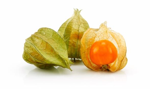 Cape Gooseberry (Physalis) Isolated on White Background
