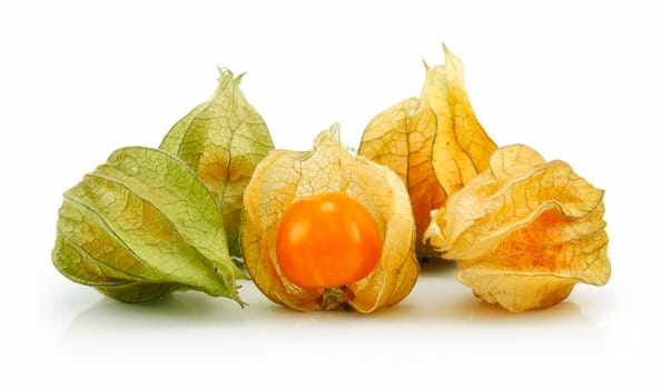 Cape Gooseberry (Physalis) Isolated on White Background