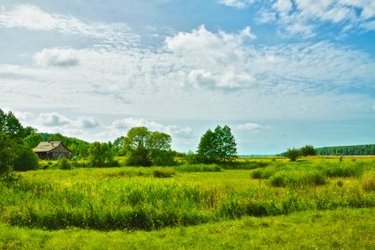 field of grass and perfect sky, Belarus