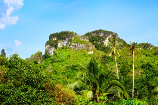 mountains with green trees in Krabi, Thailand