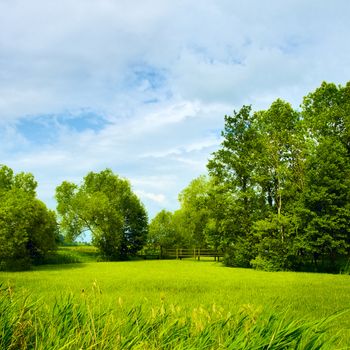 field of grass and perfect sky, Belarus