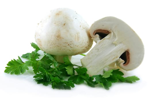 Champignon Mushrooms and Parsley Isolated on White Background
