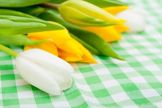 Yellow and White Tulips on Green Gingham Tablecloth