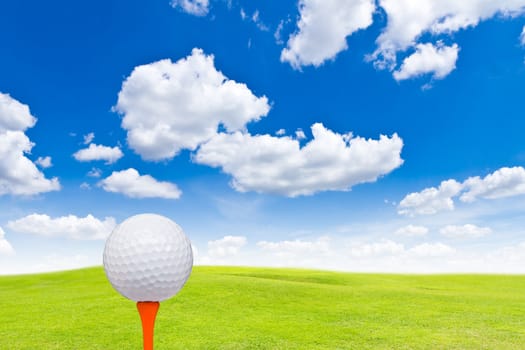 golf ball and tee on green grass