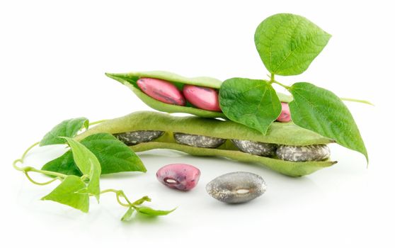 Ripe Haricot Beans with Seed and Leaves Isolated on White Background