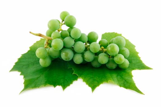 Bunch of Ripe Green Grapes with Leaf Isolated on White Background