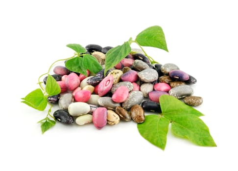 Heap of Ripe Haricot Beans with Seed and Leaves Isolated on White Background