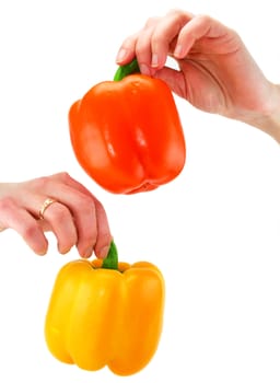 Woman's hands holds two colored paprika isolated on a white background