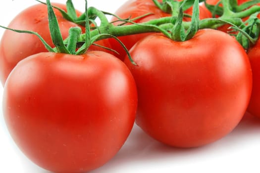 Close-up of Ripe Tomatoes Isolated on White Background