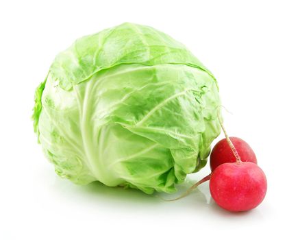 Ripe Cabbage and Radishes Isolated on White Background