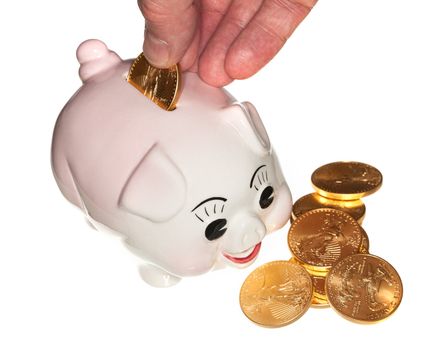 Fingers placing a single gold coin into the slot on a piggy bank and isolated against white