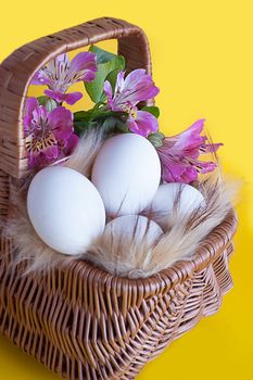 Basket with eggs and spring flowers on yellow