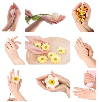 Collage of woman hands with manicure group photo isolated on white