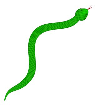 Green Snake with Scales Slithering on Isolated White Background Illustration
