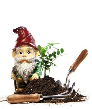 Garden gnome with earth and tools for spring planting