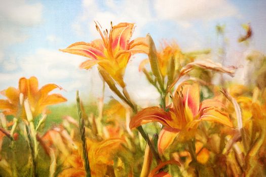 Digital Painting of orange Daylilies in field