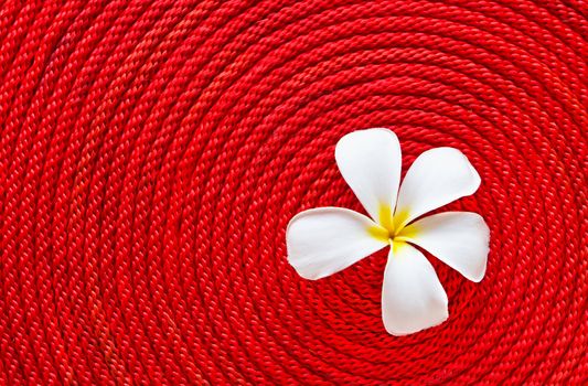 Lan thom flower on roll red rope