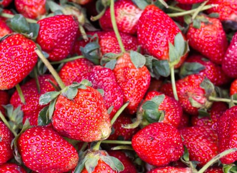 Ripe Red Strawberries in Market